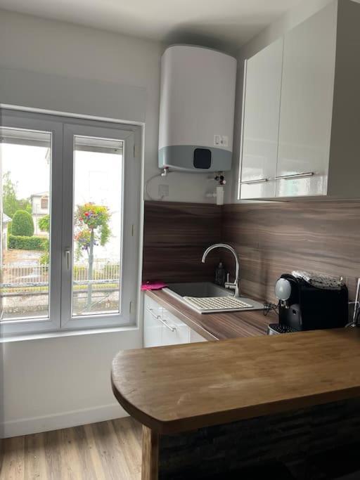 Appartamento Loiret Luxe T2 Olivet  Esterno foto